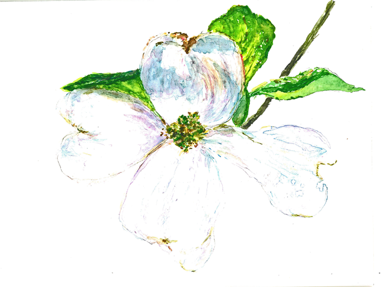 Dogwood 5 X 7 $75