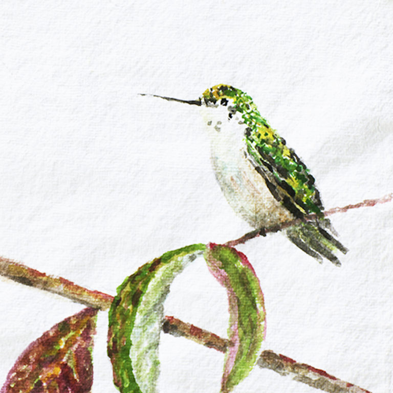 Humming Bird on Parchment 5×7  $75